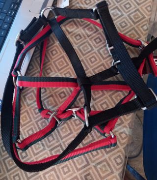 Cabezada potro Nylon Rojo-Negro HH caballo