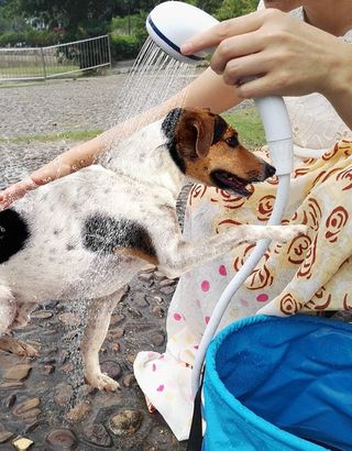 Ducha Portátil Laserbeak - Camping