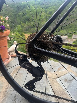 Bicicleta Giant TCR Advance 2 2024