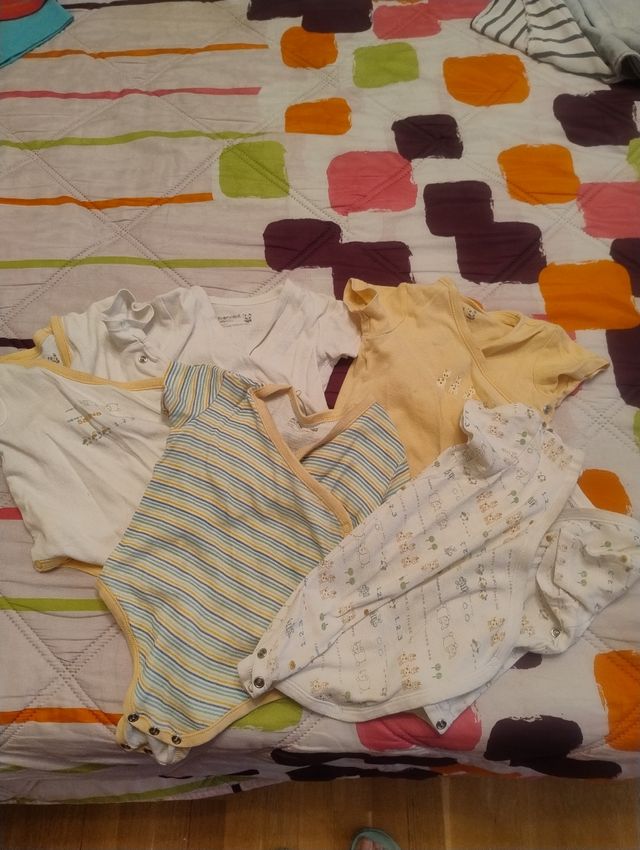 5 Bodys Bebé 9-12 Meses