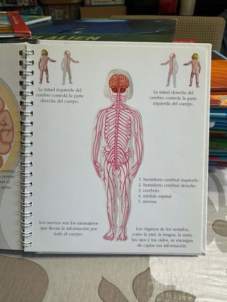 El Cuerpo - colección SM Saber - Mundo maravilloso