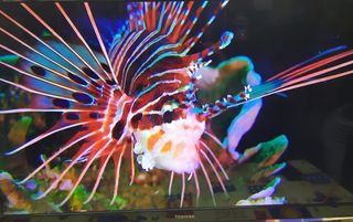 TV TOSHIBA 32" HD  T2 y Smart opcional.