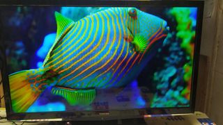 TV TOSHIBA 32" HD  T2 y Smart opcional.