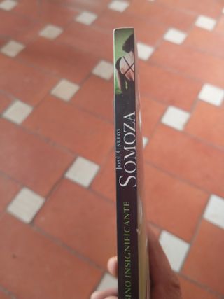 Libro: Cartas de un asesino insignificante