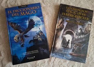 El Diccionario del Mago (Spanish Edition)