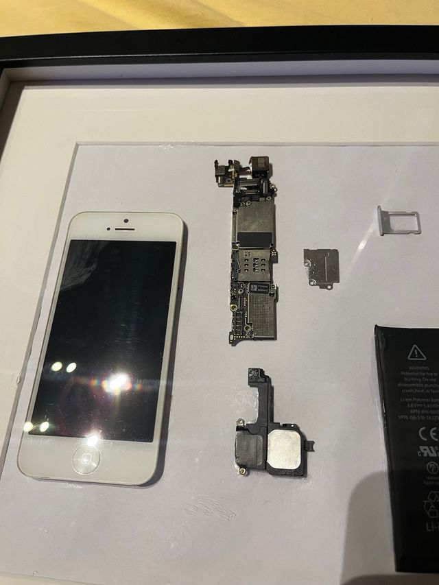 Quadro componenti iphone 5