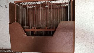 Gàbies ocells amb caixa