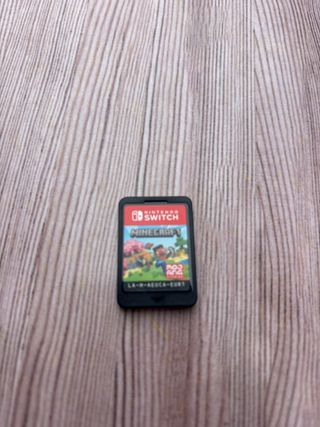 Minecraft Nintendo Switch