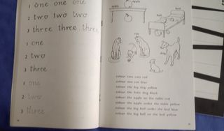Libros inglés niños Oxford (3)