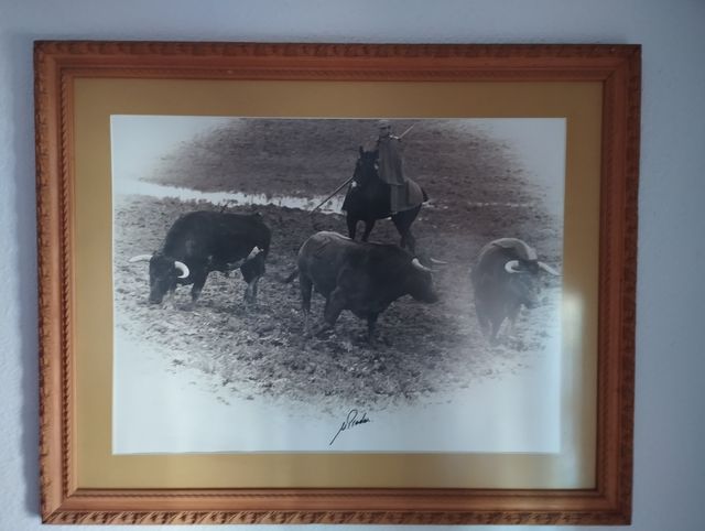 Lote 12 Cuadros Tauromaquia M.Prados