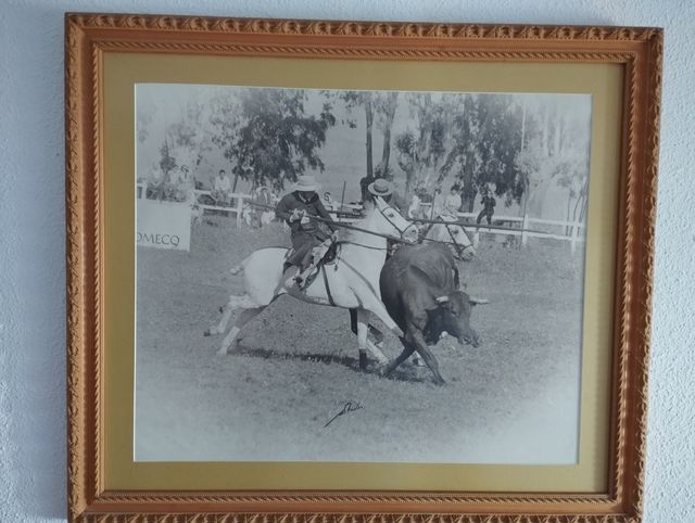 Lote 12 Cuadros Tauromaquia M.Prados