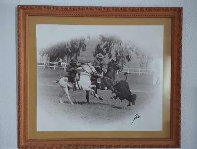 Lote 12 Cuadros Tauromaquia M.Prados