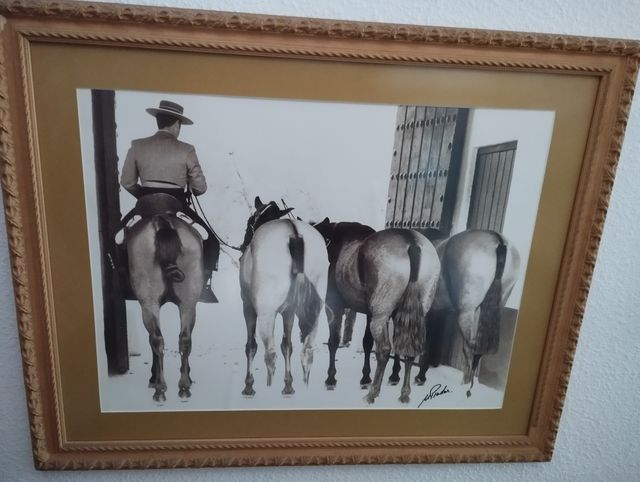 Lote 12 Cuadros Tauromaquia M.Prados