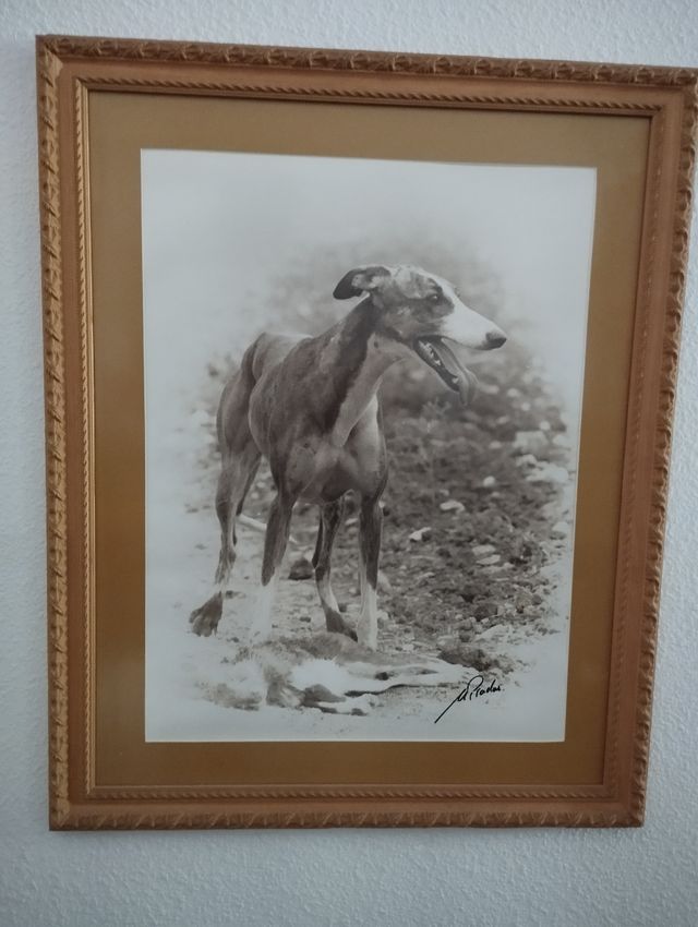 Lote 12 Cuadros Tauromaquia M.Prados