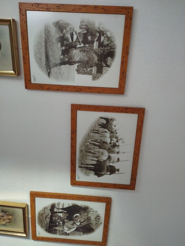 Lote 12 Cuadros Tauromaquia M.Prados