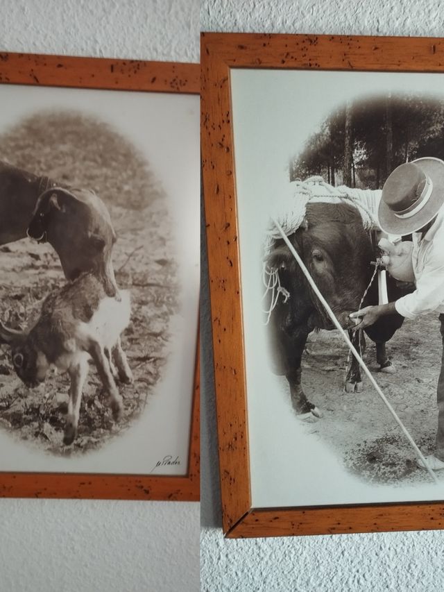 Lote 12 Cuadros Tauromaquia M.Prados
