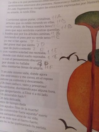 LENGUA Y LITERATURA SERIE COMENTA 3 ESO SABER H...
