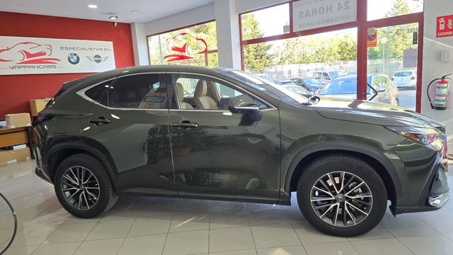 Lexus NX 450h+ Executive 4WD