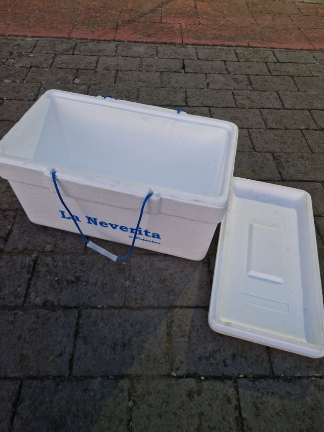 Nevera Portátil Polarbox