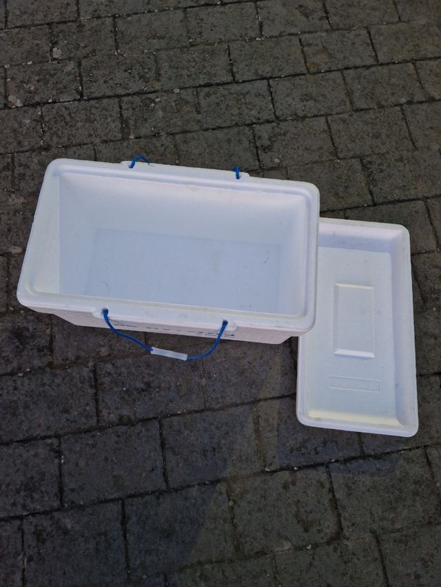 Nevera Portátil Polarbox