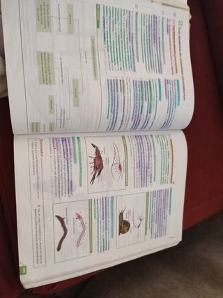 Biología y Geología 1.