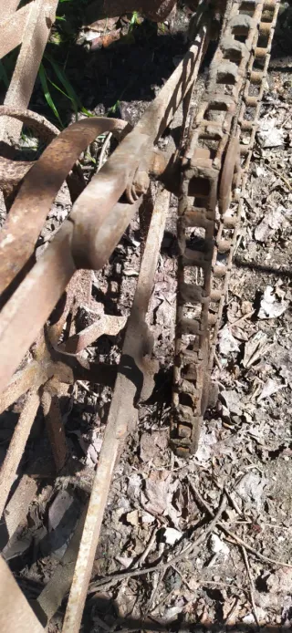Sembradora Maíz Granos Antigua