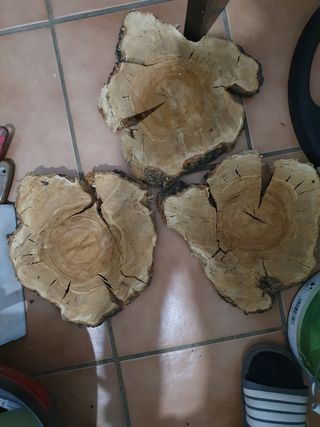 5 Rodajas madera olivo - Decoración 30cm de ancho