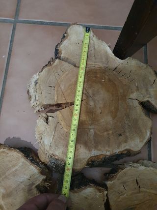 5 Rodajas madera olivo - Decoración 30cm de ancho