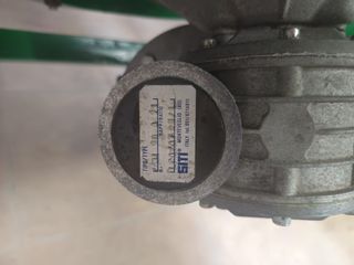 Triturador y batidora aceitunas