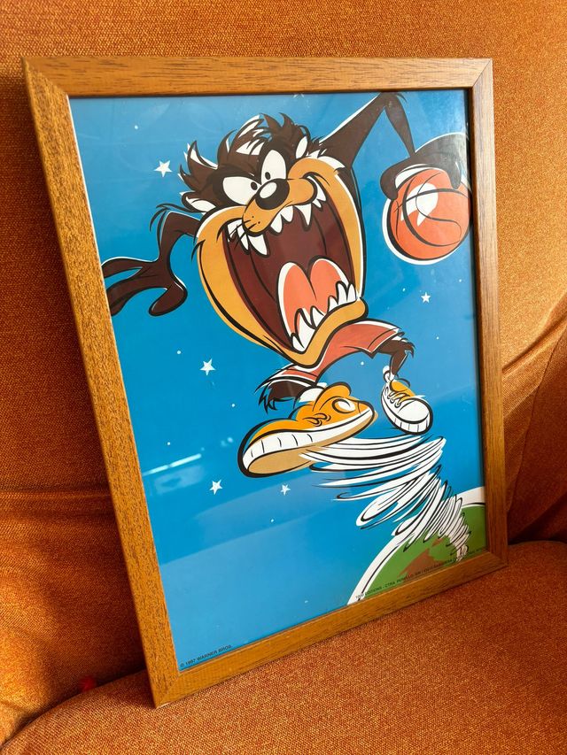 Taz - Cuadro Demonio Tasmania