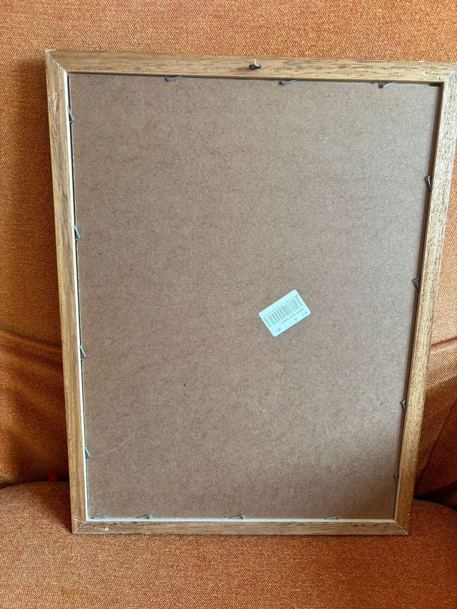 Taz - Cuadro Demonio Tasmania