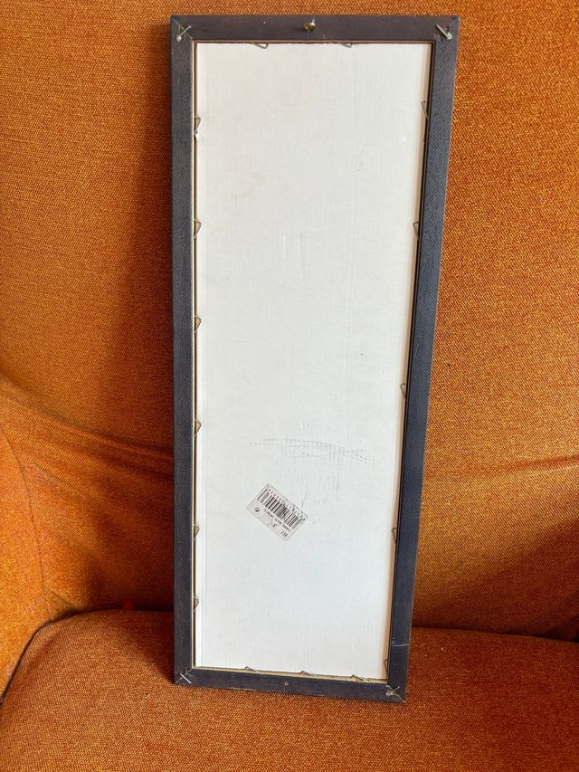 Cuadro Silvestre y Piolín