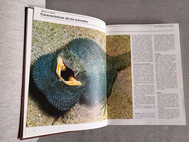 Enciclopedia de animales y plantas