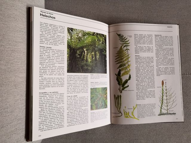 Enciclopedia de animales y plantas