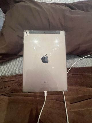 iPad Air 2 Gris Espacial