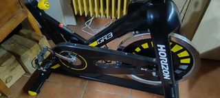 Bicicleta spinning Horizon GR3
