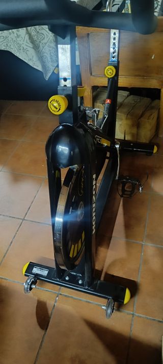 Bicicleta spinning Horizon GR3