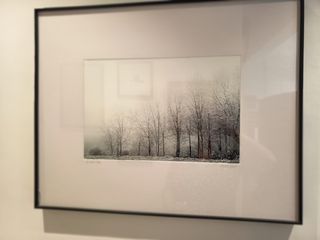 Fotografías firmadas: Paisaje invernal