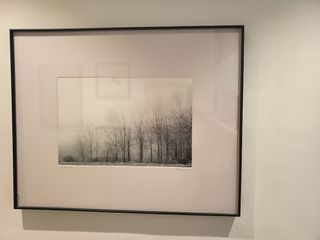 Fotografías firmadas: Paisaje invernal