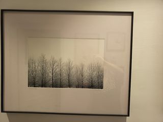 Fotografías firmadas: Paisaje invernal