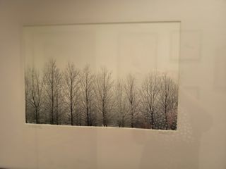 Fotografías firmadas: Paisaje invernal