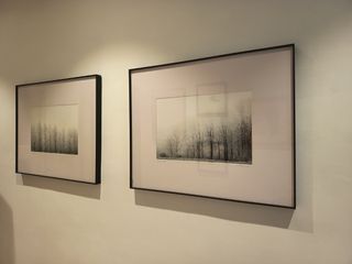Fotografías firmadas: Paisaje invernal