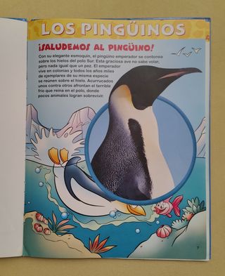 El maravilloso mundo de los animales:LOS PINGÜINOS