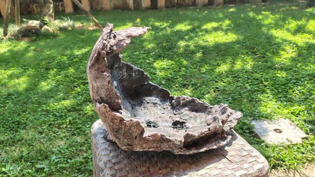 Vaso Bonsai Pietra Luna - Decorativo