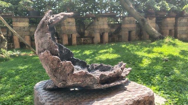 Vaso Bonsai Pietra Luna - Decorativo