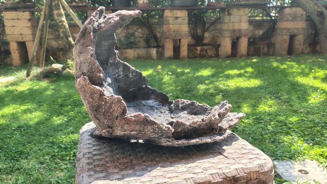 Vaso Bonsai Pietra Luna - Decorativo