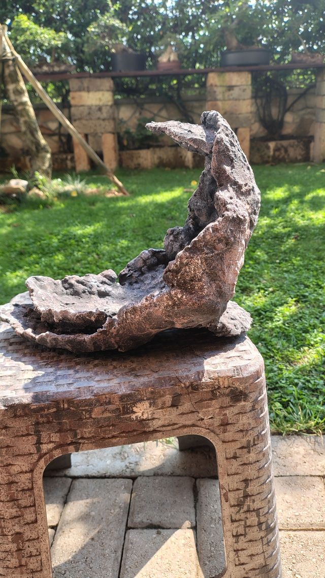 Vaso Bonsai Pietra Luna - Decorativo