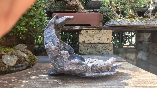 Vaso Bonsai Pietra Luna - Decorativo