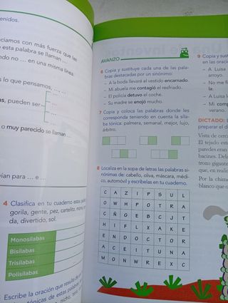 Lengua 3.