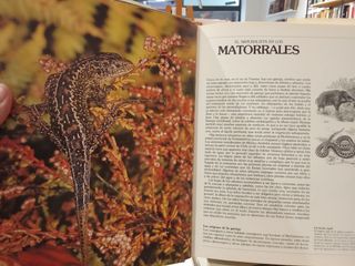 Guia del Naturalista Gerald Durrell